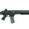 SIG 556